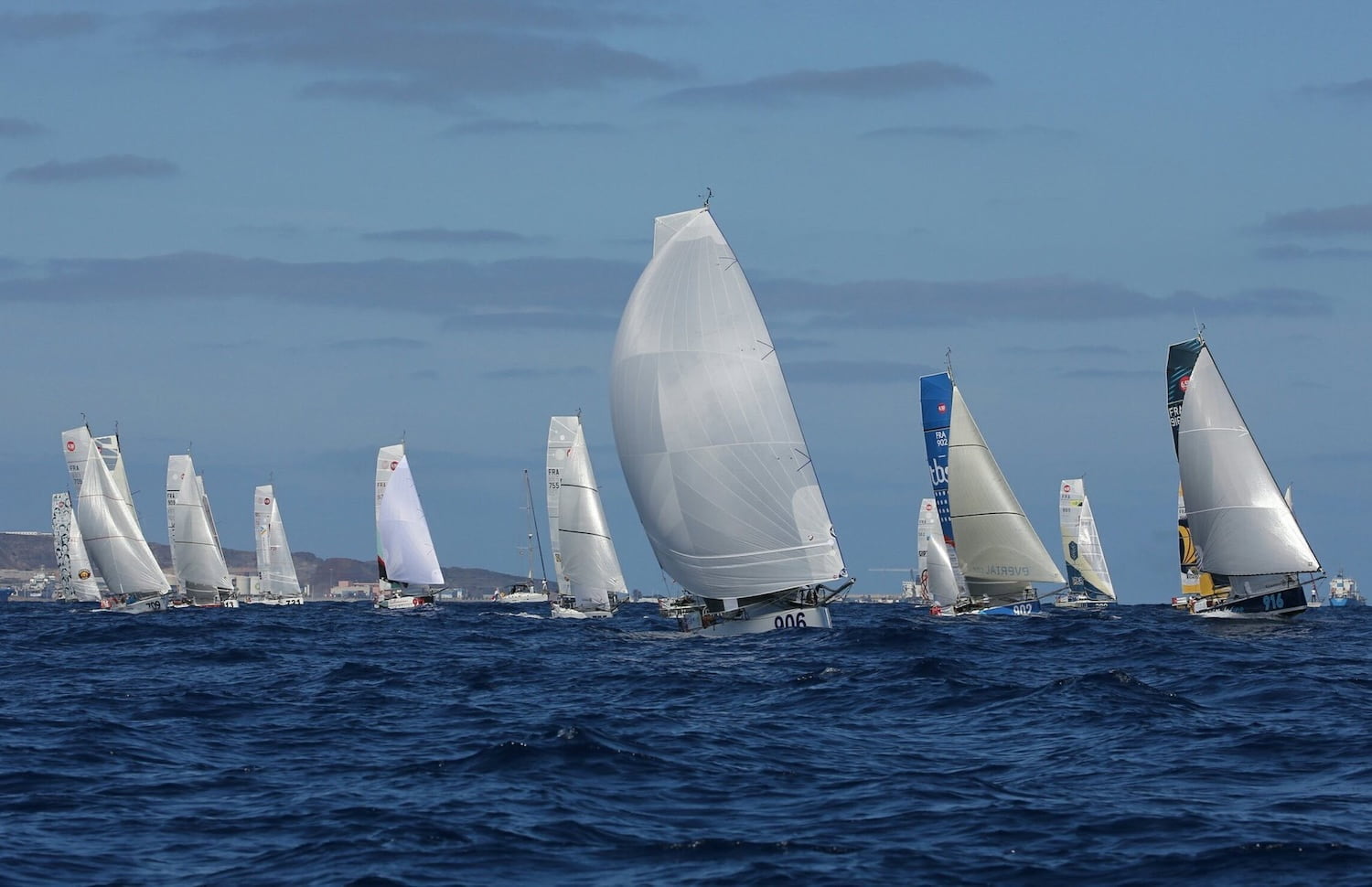 mini transat